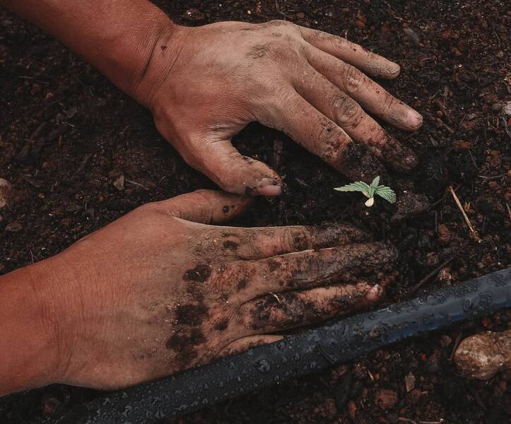 Associazione Produttori Colline Toscane