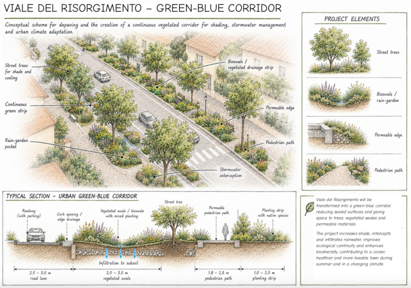 Viale risorgimento - disegno