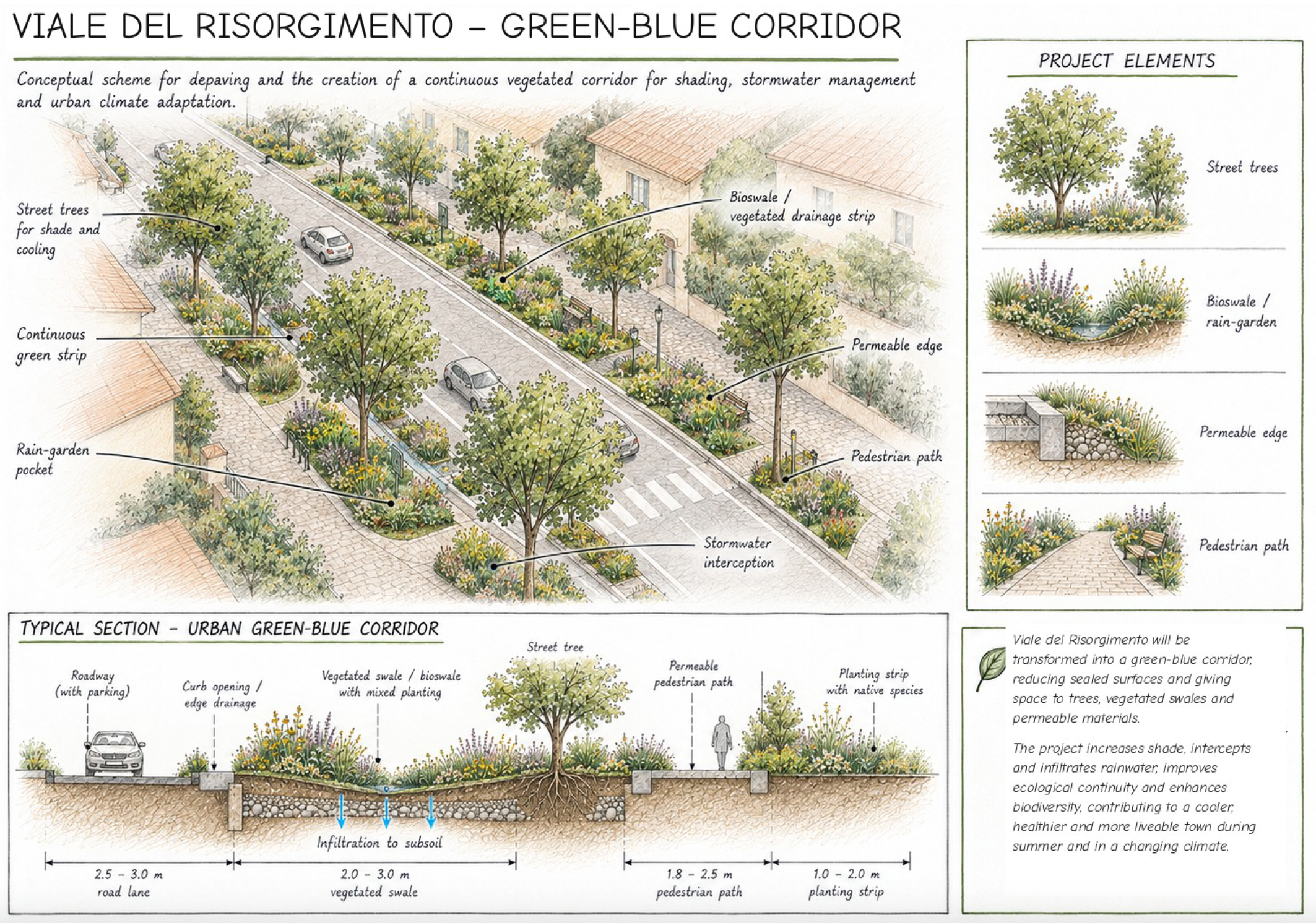 Viale risorgimento - disegno